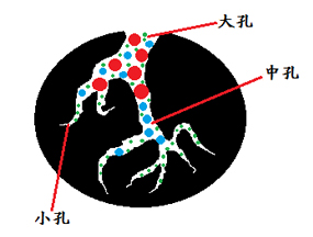 活性炭結(jié)構(gòu).jpg